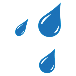 Icon - Rain